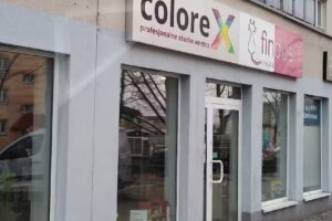 FINDUS Nauka przez Zabawę