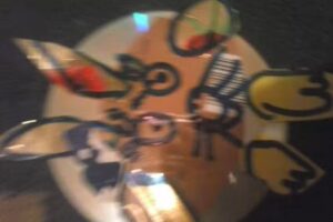 Kacprzak Anna. Handel obwoźny artykałami przemysłowymi