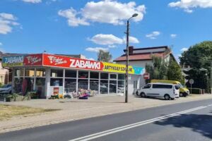 Profesor Zabawka Złotów