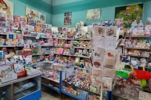 Sklep z art. papierniczymi i zabawkami, Elżbieta Pejdzińska