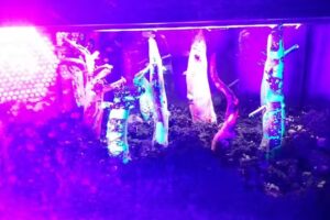 Sklep z artefaktami zabawki biżuteria instrumenty muzyczne place zabaw