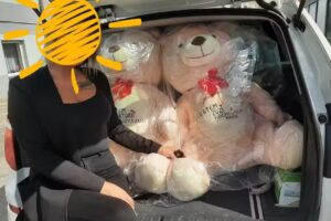 Twój Miś z Przygodzic